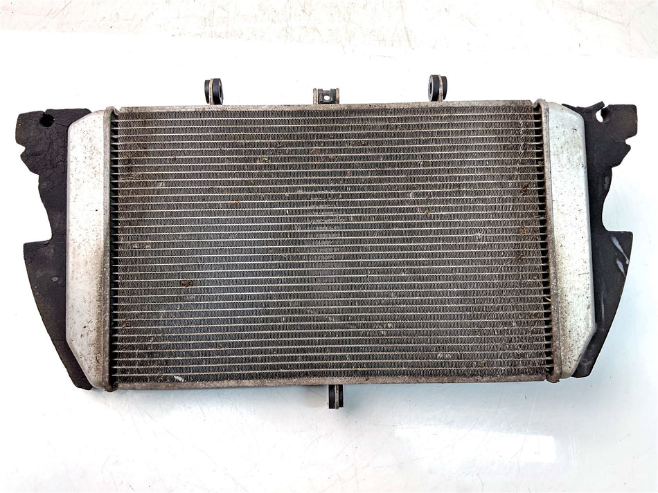 2015 Kawasaki Z1000 SX Radiator - 390600081