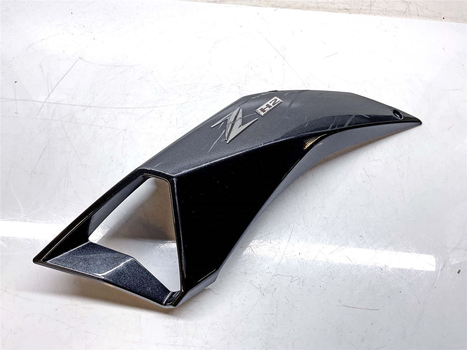 2024 Kawasaki Z1000 SX Left Intake Panel - 14093-0976-51A