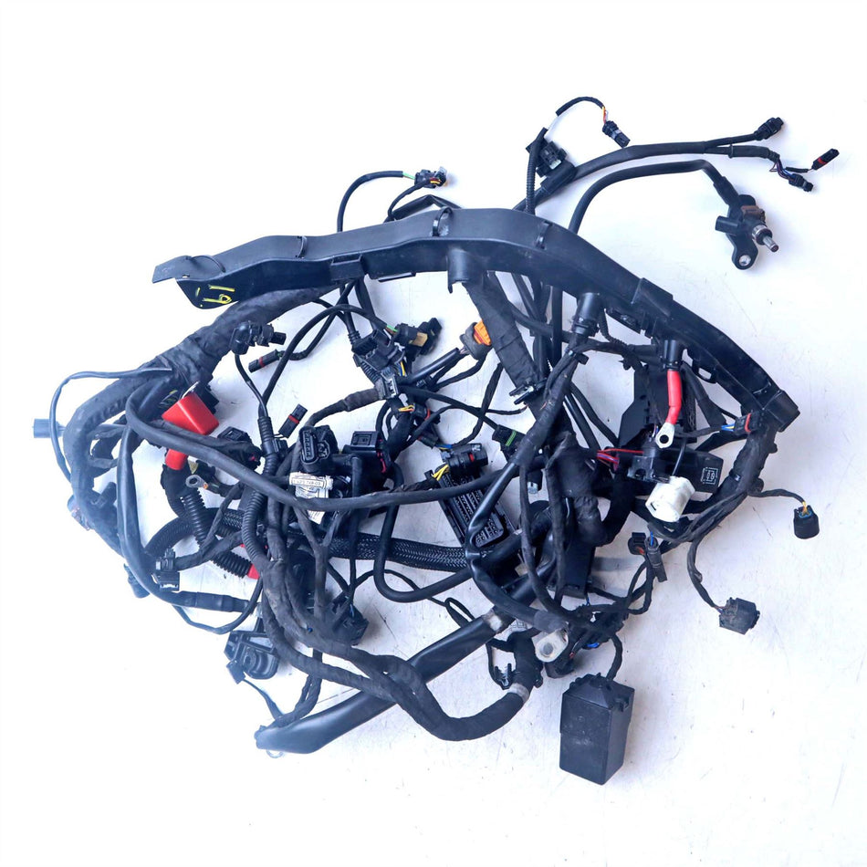 2023 BMW R Nine T Main Wiring Harness Loom - 61111623748