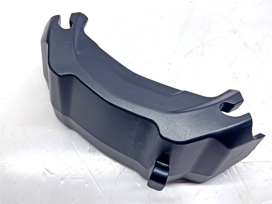 2024 Triumph Speed Triple 1200 ESL Panel - T2043738