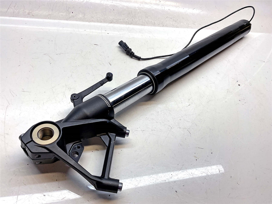 BMW M1000R Left Fork