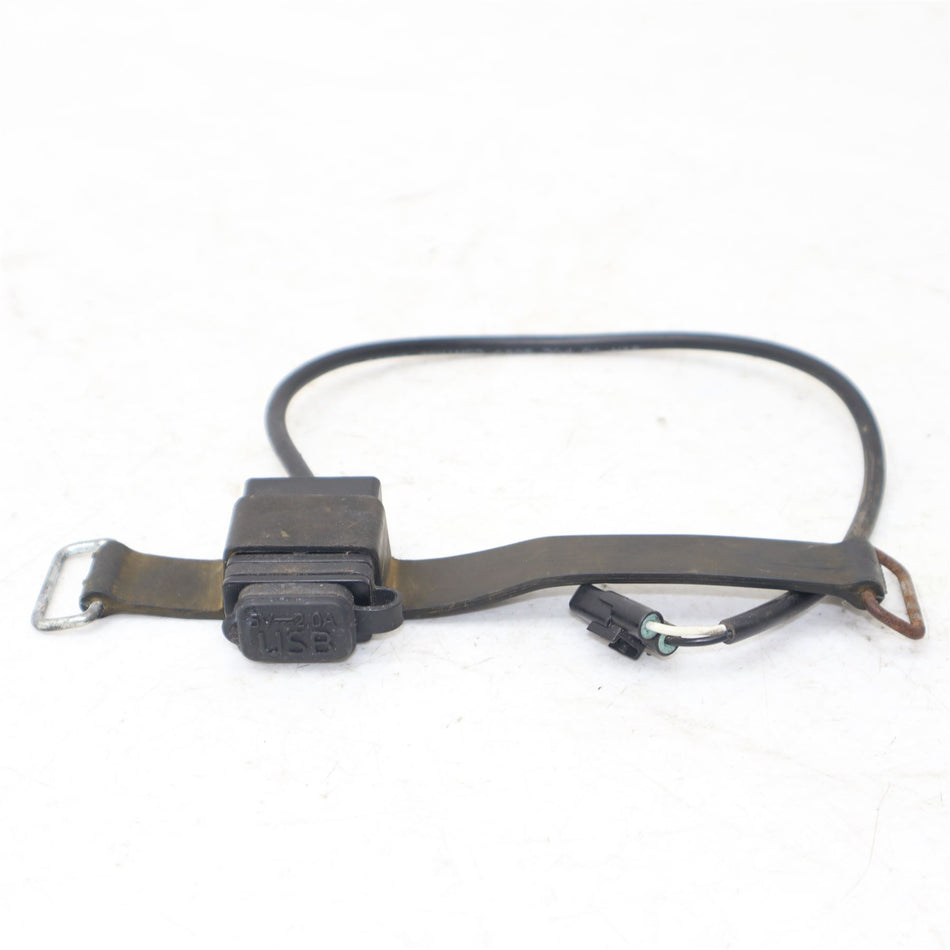 2019 TRIUMPH THRUXTON 1200 R USB Charger - T2501419