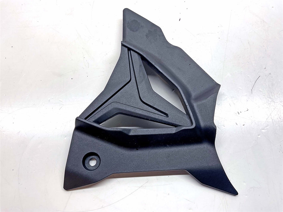 2025 BMW M1000R Front Sprocket Cover - 33818394320