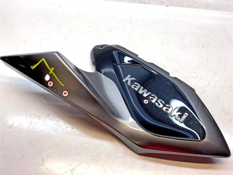 Kawasaki ZR1000 ABS Headlight Cowl