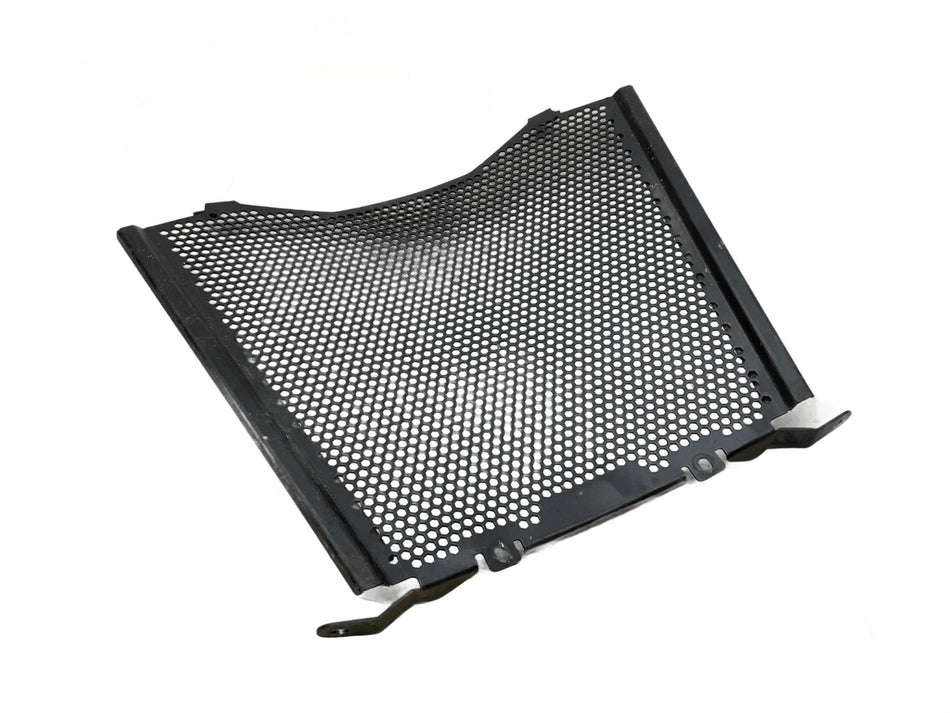 2024 BMW S1000RR Sport Radiator Guard 77315A5B697