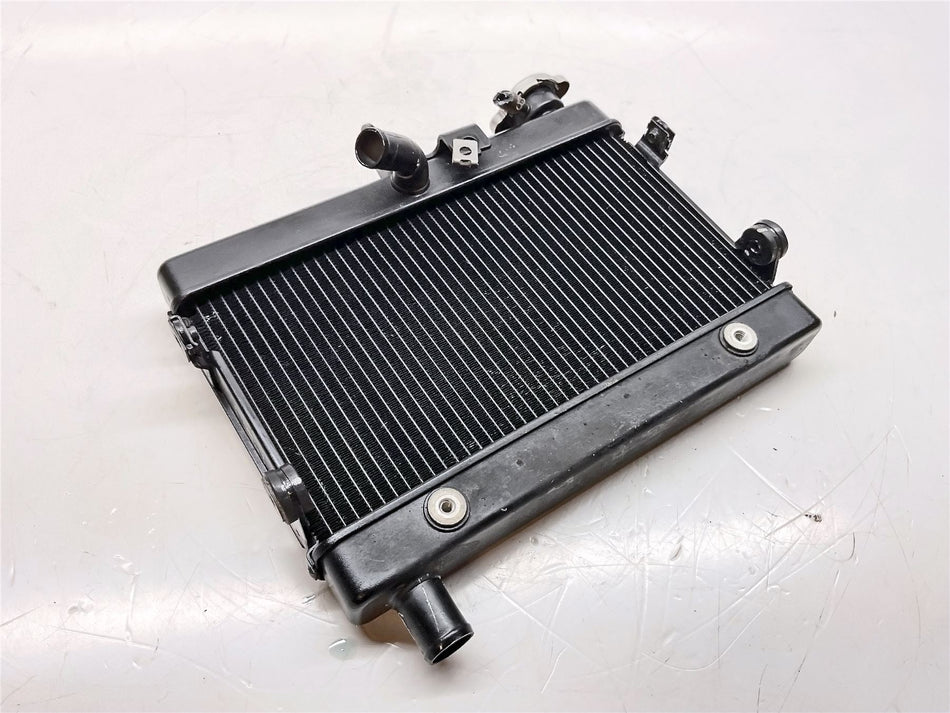 2019 Honda CMX500 REBEL Radiator - 19010MKGD51