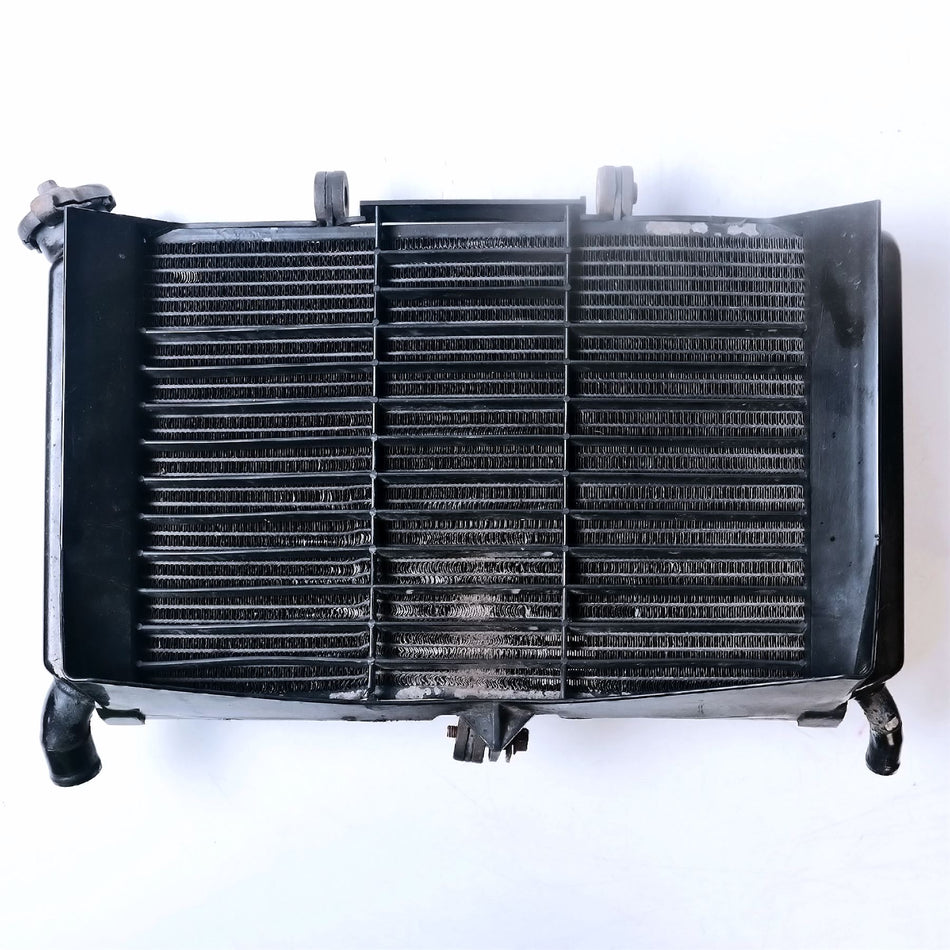 2010 Yamaha XJ600 Radiator With Grill & Fan - 20S124610100