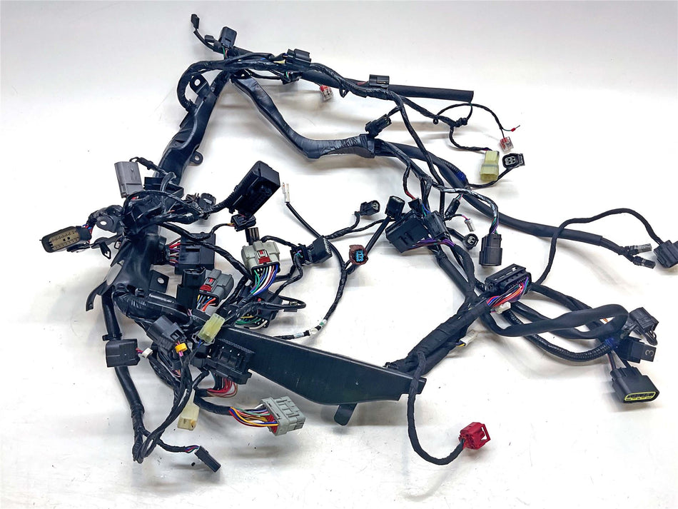 2025 Triumph Speed Triple 1200 RS Wiring Harness Loom - T2505123