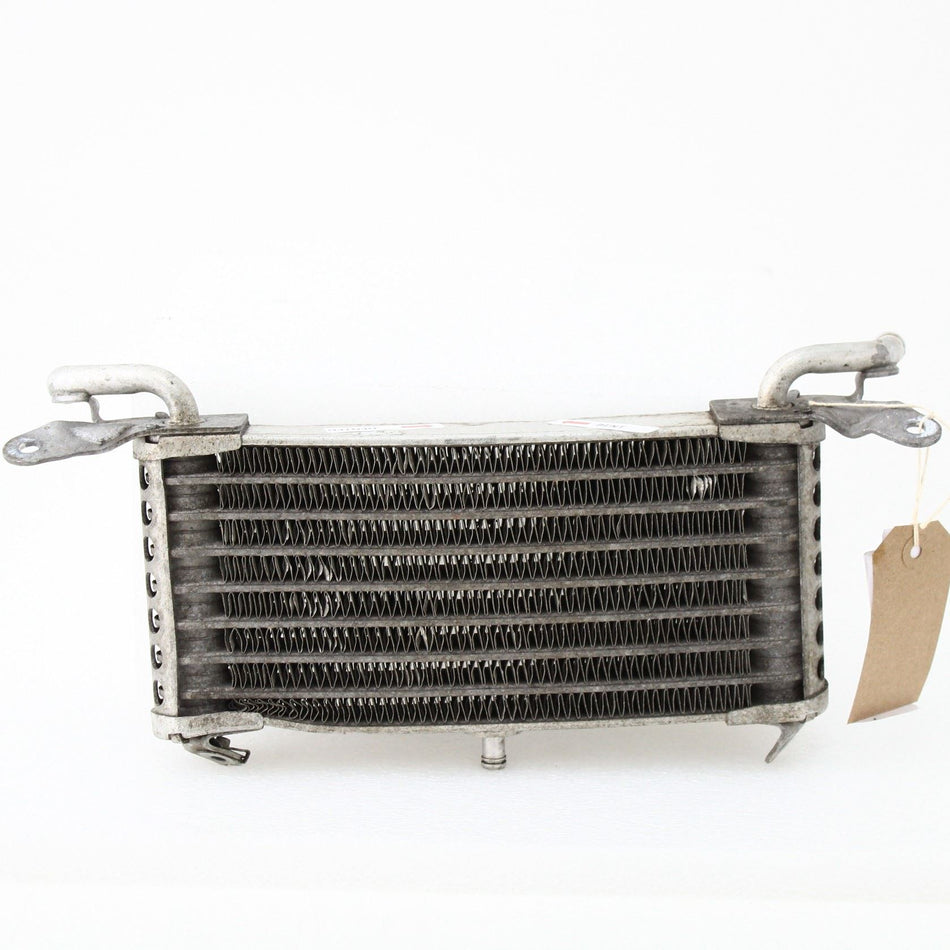 2014-2019 BMW S1000XR SPORT Oil Cooler - 17218545633