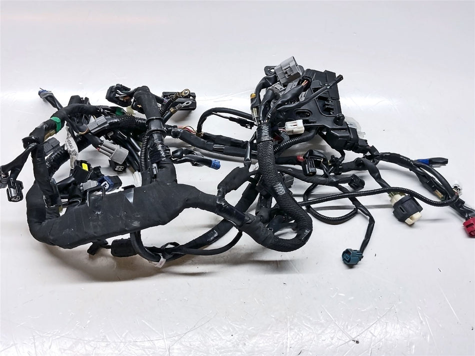 2022 Suzuki GSX-S1000GT+ Wiring Harness - 3661048KA0000