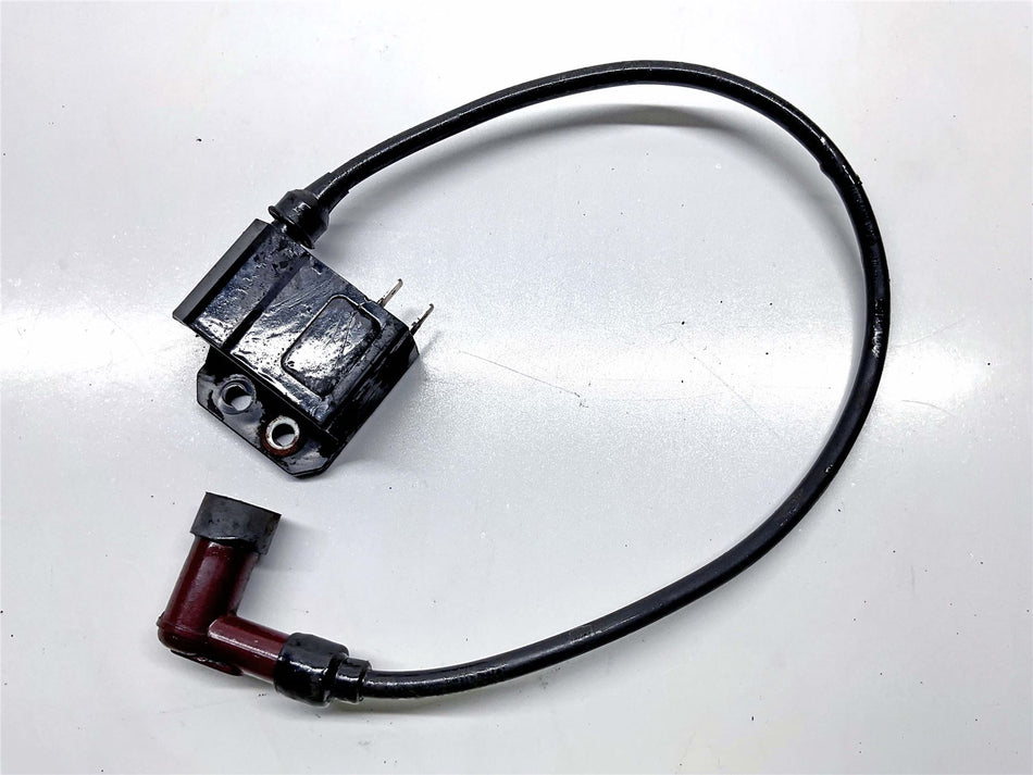 Piaggio Piaggio 1 Ignition Coil