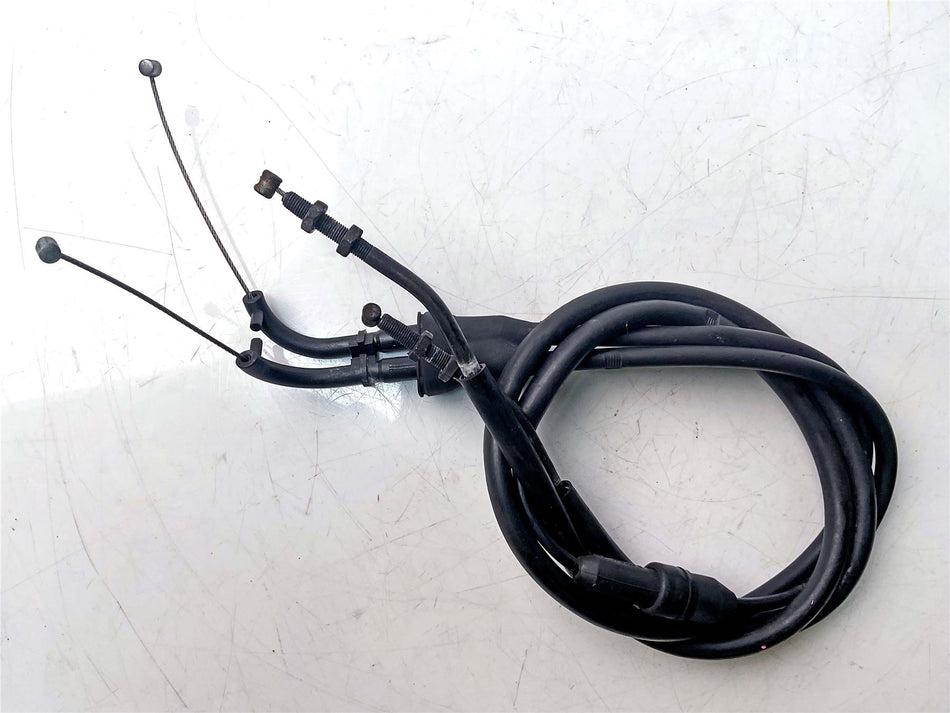 2009 Triumph Tiger 1050 Throttle Cable - T2040480