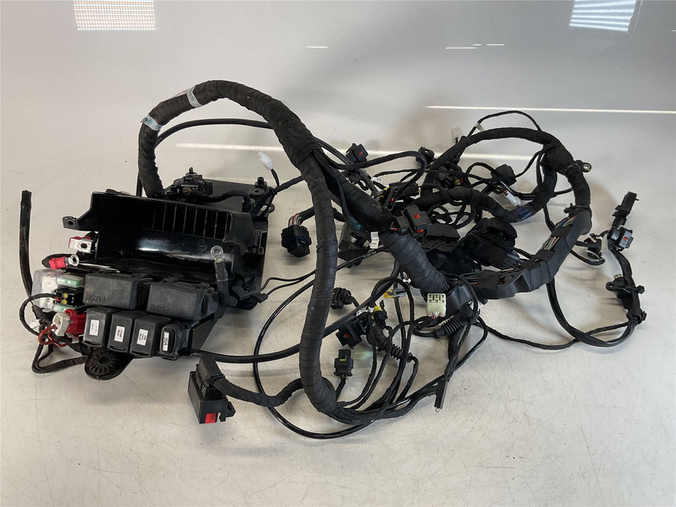 2022 Ducati Monster Plus Wiring Harness - 5101H921E