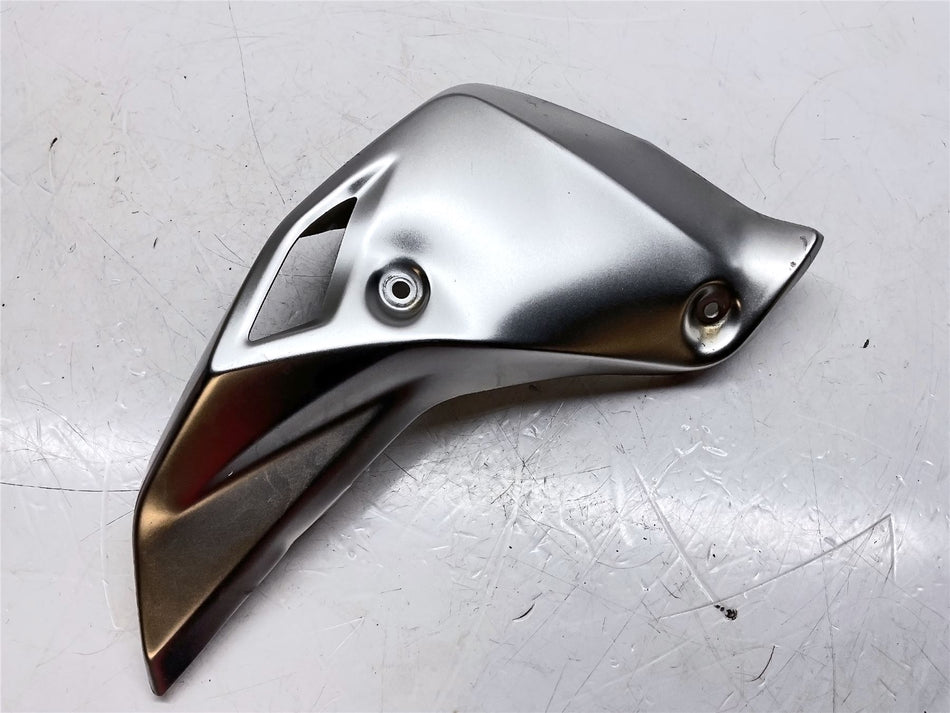 2019 BMW R1250R Rght End Radiator Cover - 46638382815