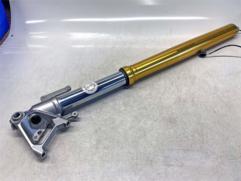 Triumph Tiger 1200 Left Fork (SHOWA)