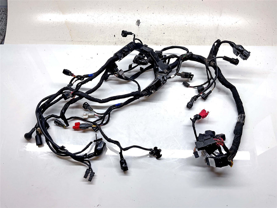 2024 Royal Enfield Himalayan Wiring Harness Loom - RAC00527