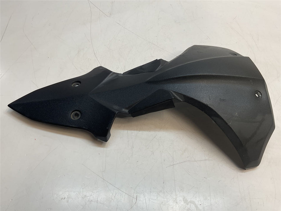 2019 Kawasaki Versys 1000 KLZ1000 Upper Tail Fairing - 550280700