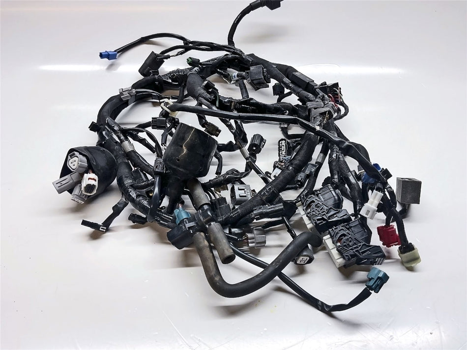 2020 Kawasaki Z1000 SX Wiring Harness