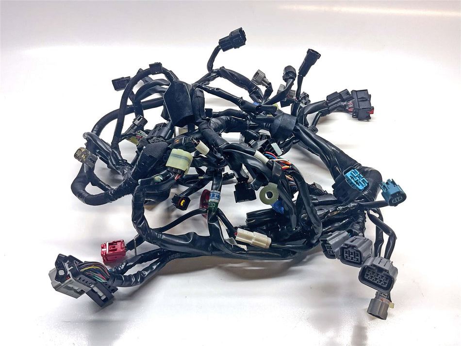 2023 Kawasaki Z900RS ZR900 Wiring Harness Loom - 260312755