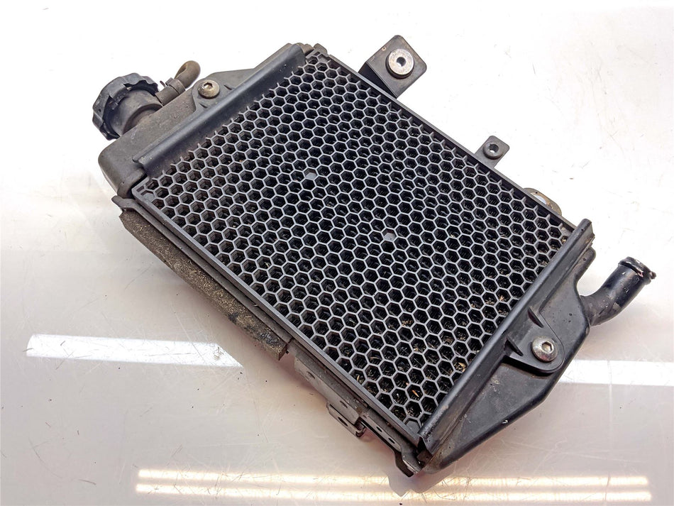 2021 Triumph Tiger 900 GT Pro Radiator - T2104211