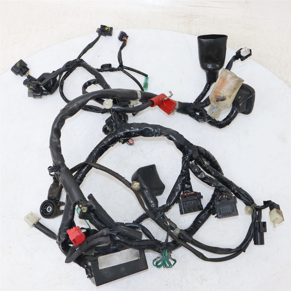 2023 HONDA CBF125 Wiring Loom - 32100K0Ne00