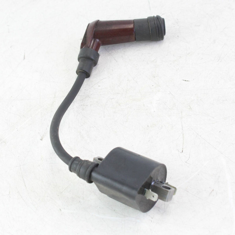 2016-2019 TRIUMPH THRUXTON Ignition Coil, Long - T1290321