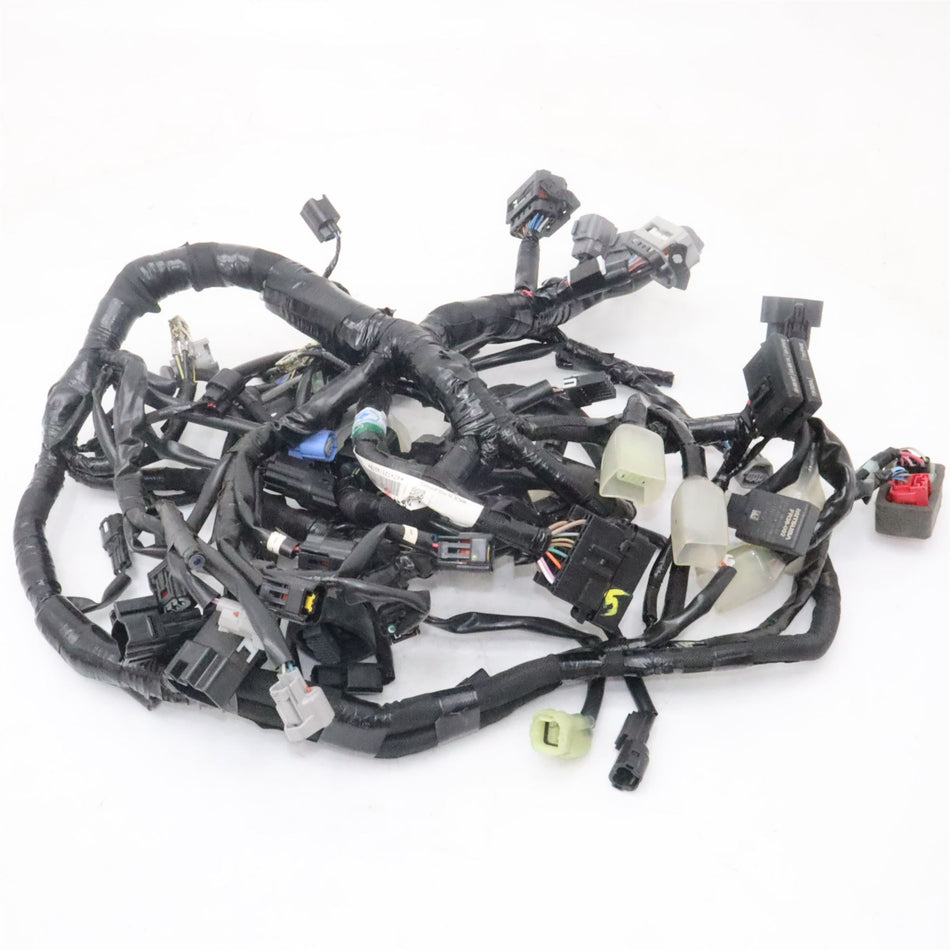 2023 KAWASAKI Z900SE Wiring Harness - 260318244