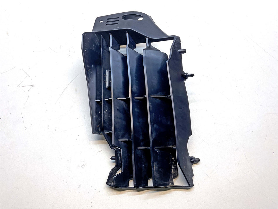 2023 Honda CRF300L ABS Radiator Guard - 19034K1TE10