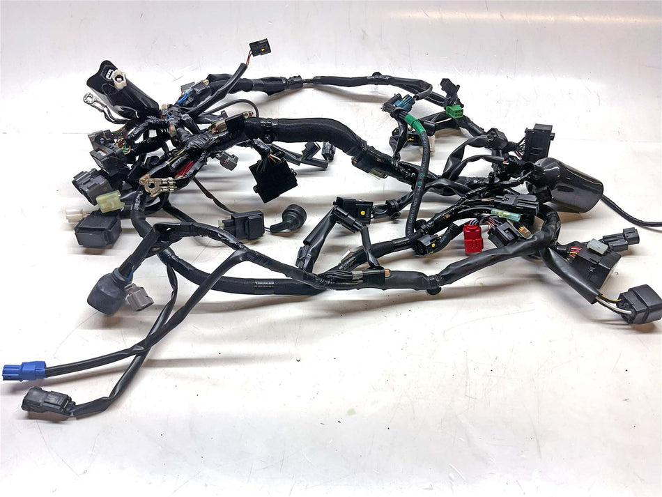 2025 Kawasaki Ninja 500 Main Wiring Harness Loom - 260314299