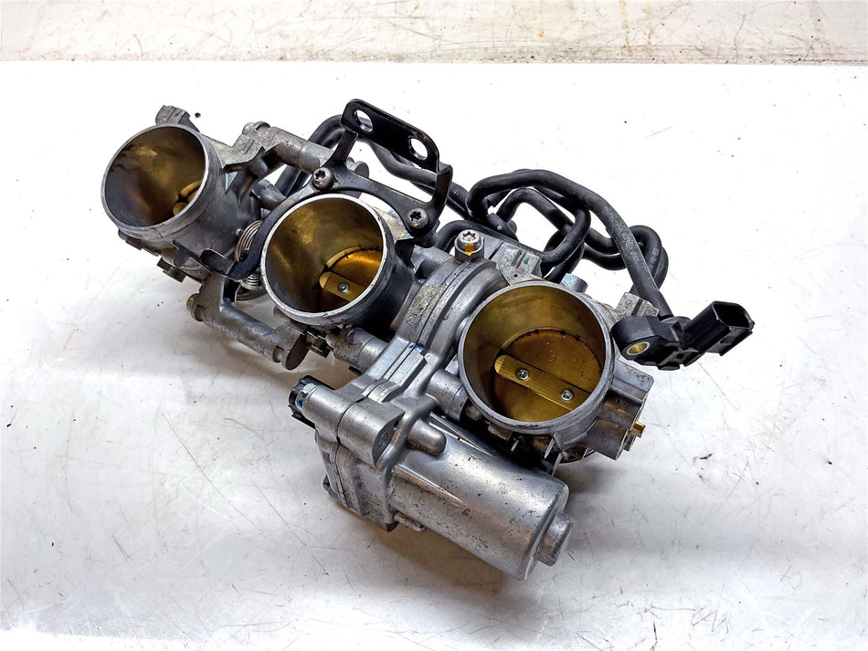 2012 Triumph Tiger Explorer Throttle Bodies
