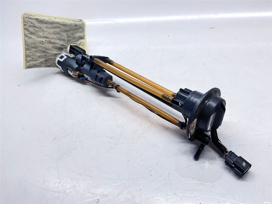2023 Harley-Davidson Nightster Special 975S Fuel Pump - 61200075