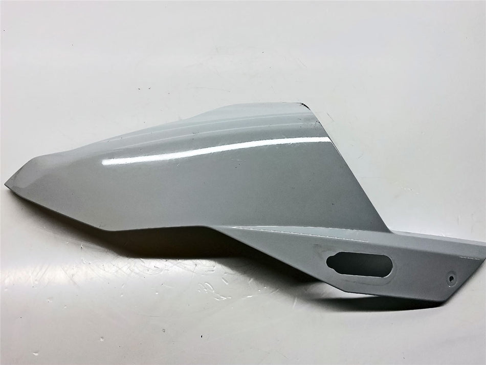 2023 BMW S1000RR Right Headlight Fairing - 46638388952