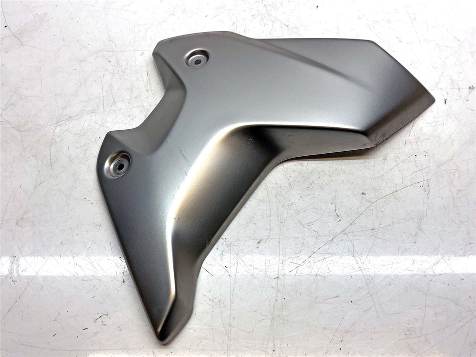 2017-2022 BMW R1200GS Rad Cowl