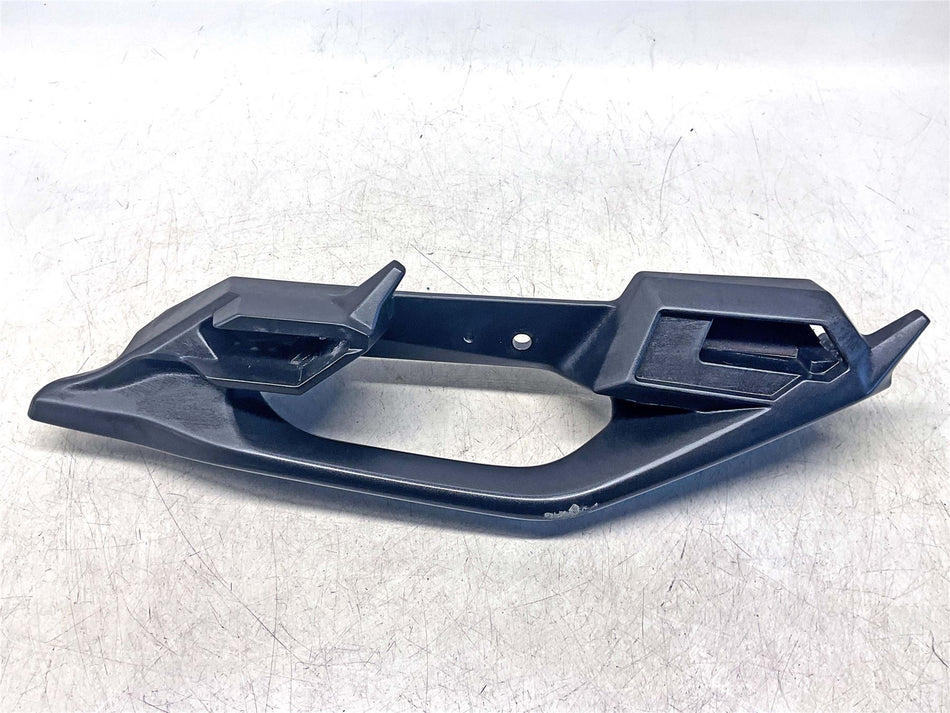 2020 Kawasaki Versys 650 Left Grab Rail  - 46075-0593-18R