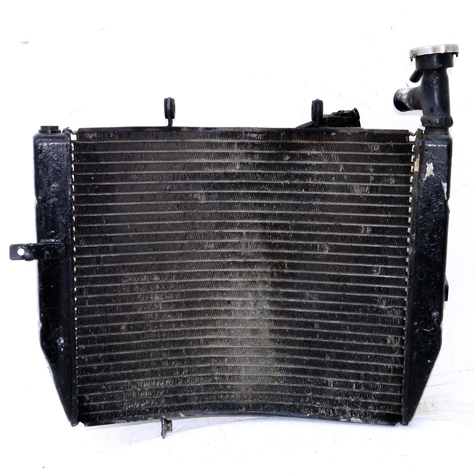 2008 TRIUMPH DAYTONA 675 Radiator - T2100072