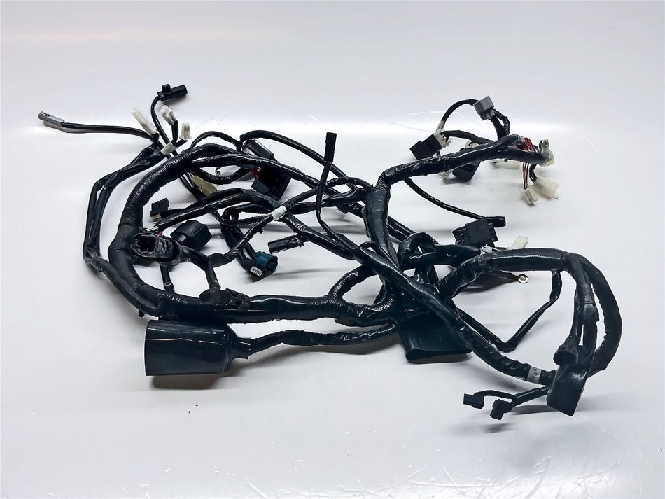 2024 Yamaha YZF-R 125 Main Wiring Harness - BR6H259000