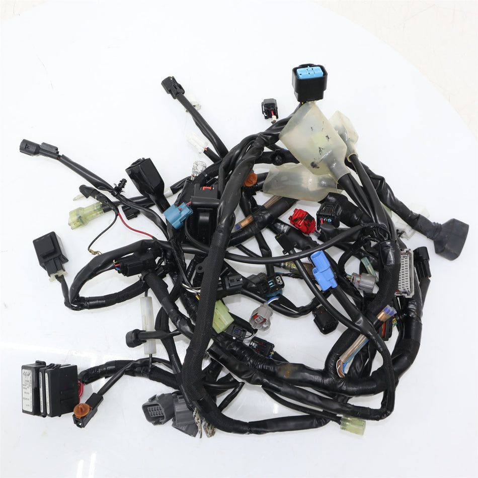 2020-2023 KAWASAKI  EX 650 NINJA Main Wiring Harness - 260312874
