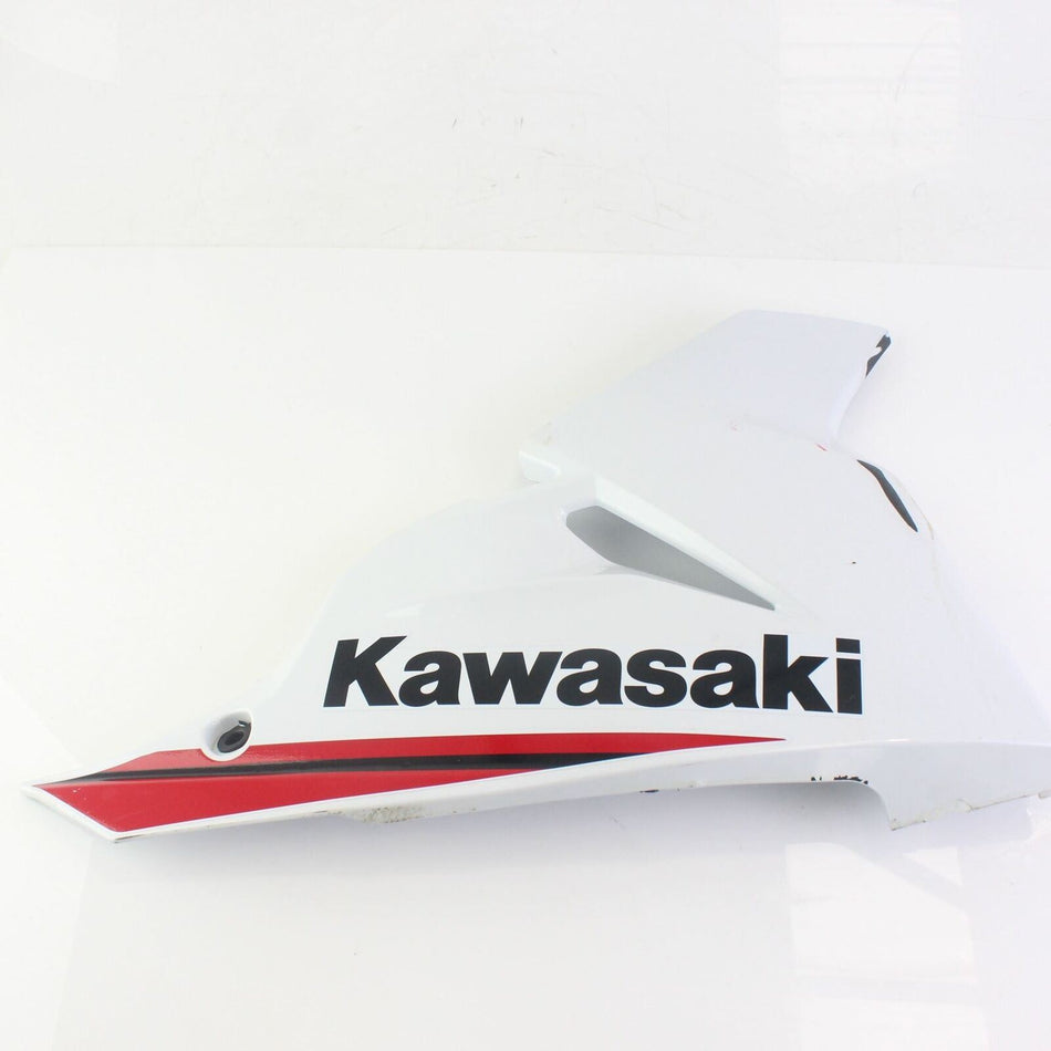 2018-ON KAWASAKI BX 125 NINJA R/H Right Hand Lower Side Fairing  - 55028048354X