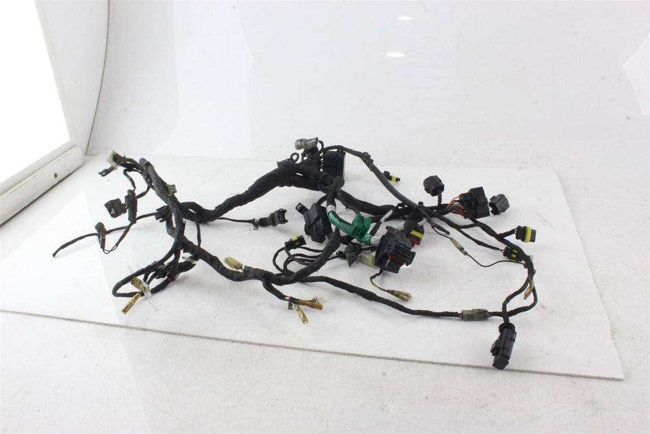 2008-2014 DUCATI MONSTER 696 Wiring Harness - 51016981B