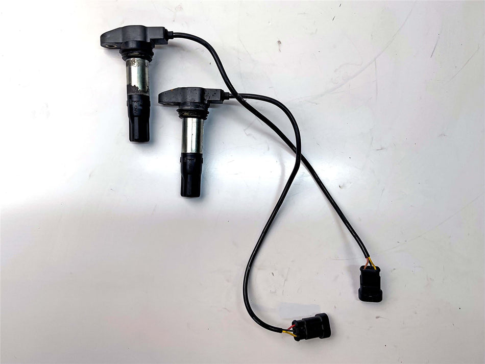 2008 Aprilia Shiver 750 SL750 Ignition Coils - 640695