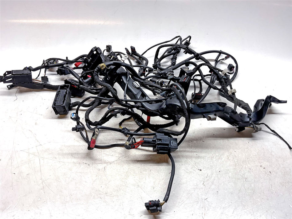 2019 BMW R1250GS Adventure Wiring harness - 6119480783