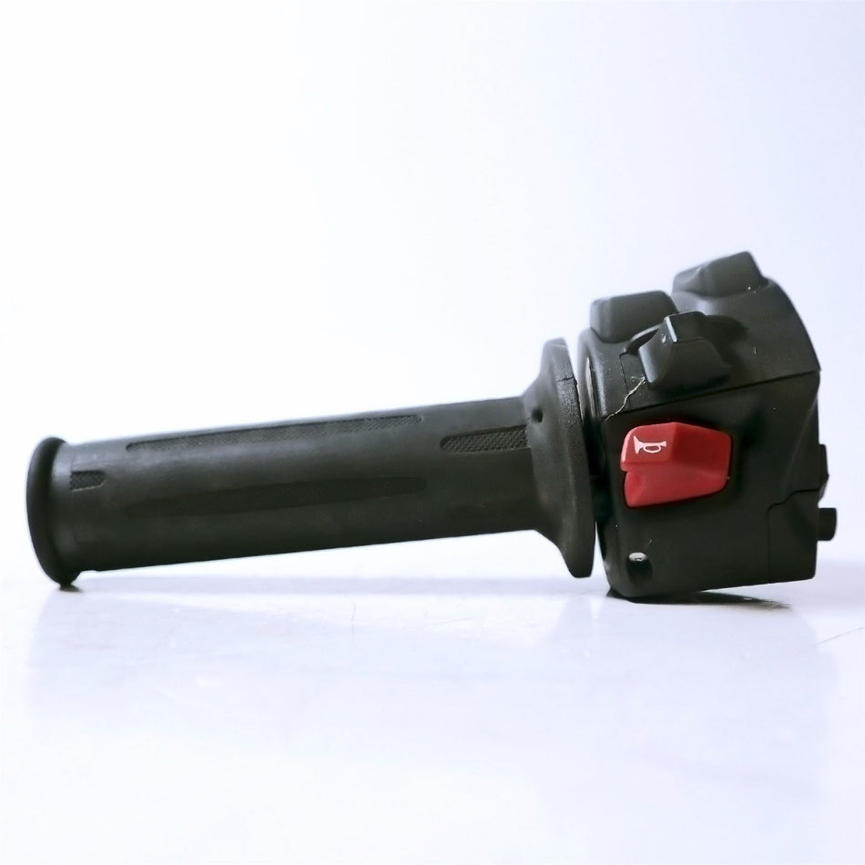2022 BMW R Nine T Left Switch Gear & Grip - 61319480151