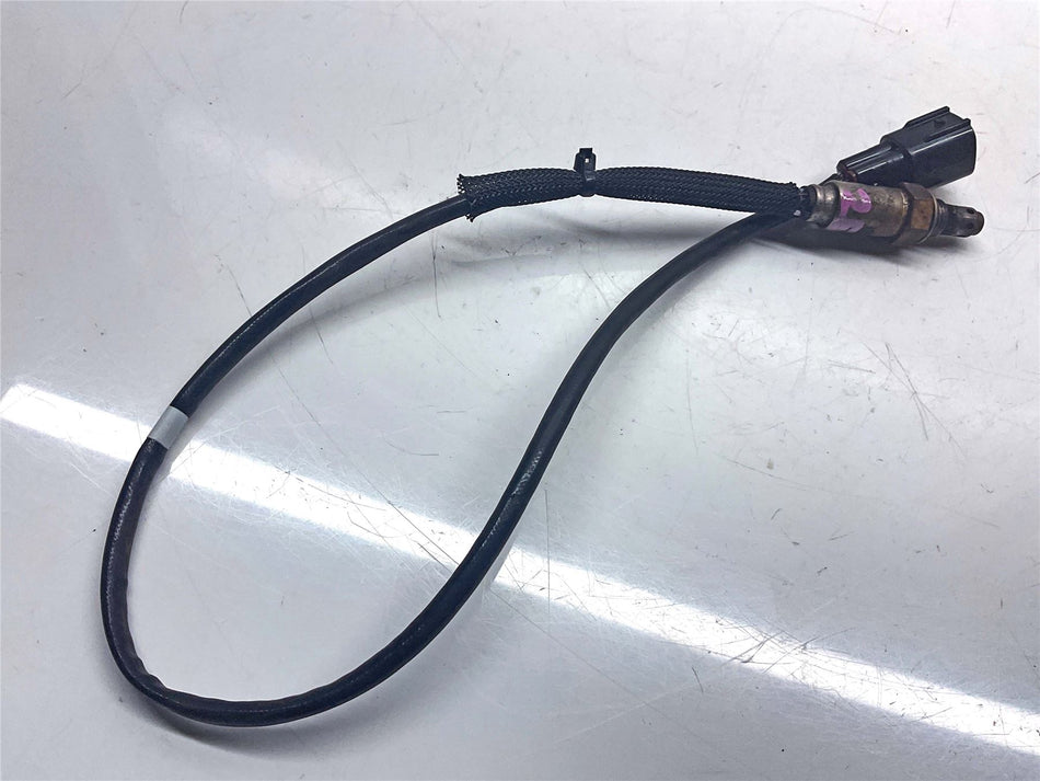 2024 Kawasaki Eliminator 450 EL450 Oxygen Sensor (Out)