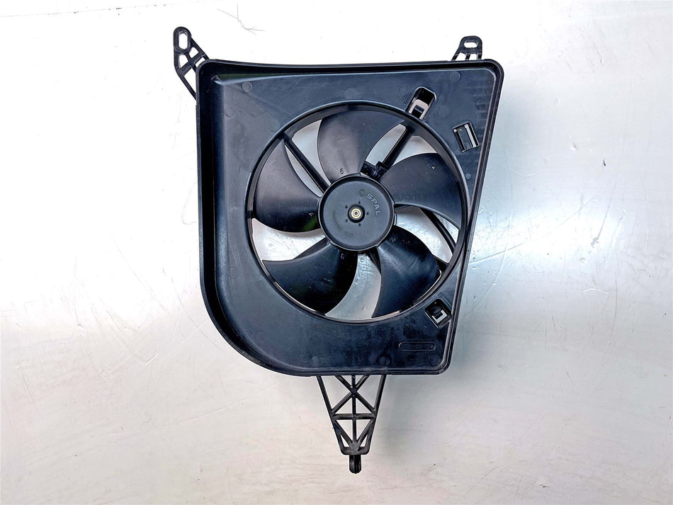 2024 BMW S1000RR Sport Fan  - 17428356815