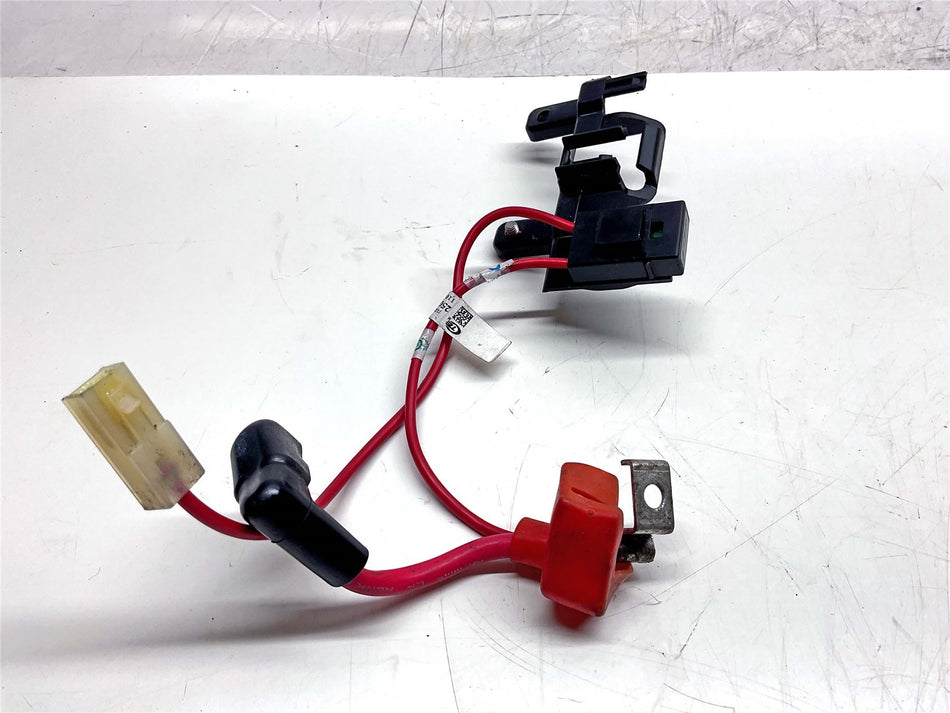 2023 Triumph Street Triple 765 R Battery Cables