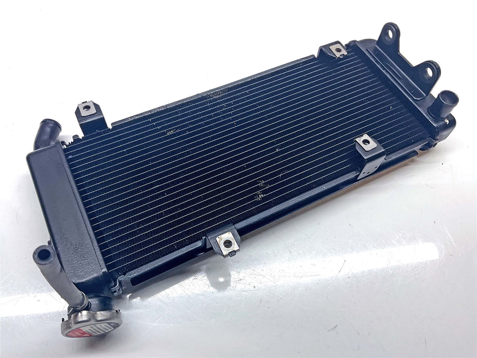 2018 Kawasaki Versys 650 Radiator - 390610712
