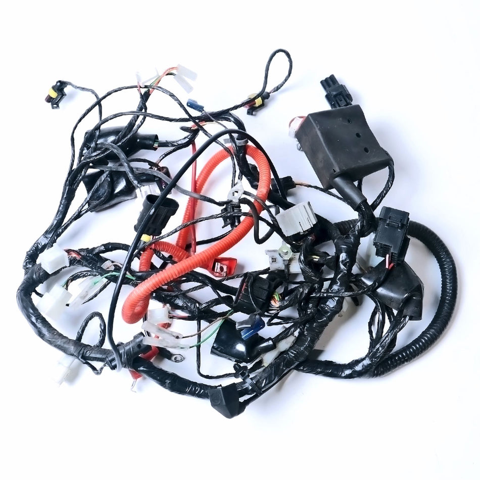 2023 Benelli BN 125 Wiring Harness - 92000L29008