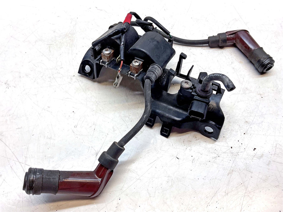 2019 Triumph Speed Twin 1200 Ignition Coils - T1290321