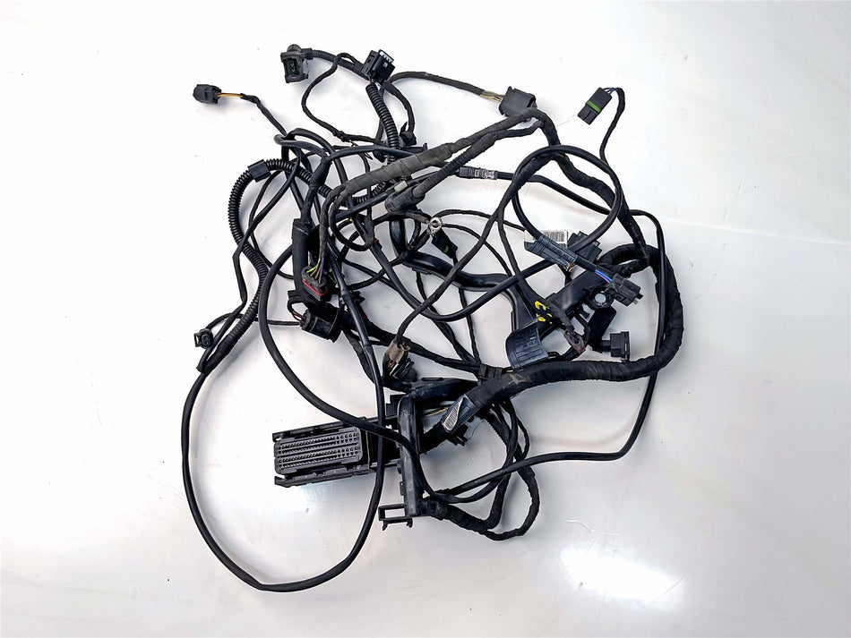 2018 BMW R1200GS ADV Triple Black Engine wiring sub loom - 61118554789