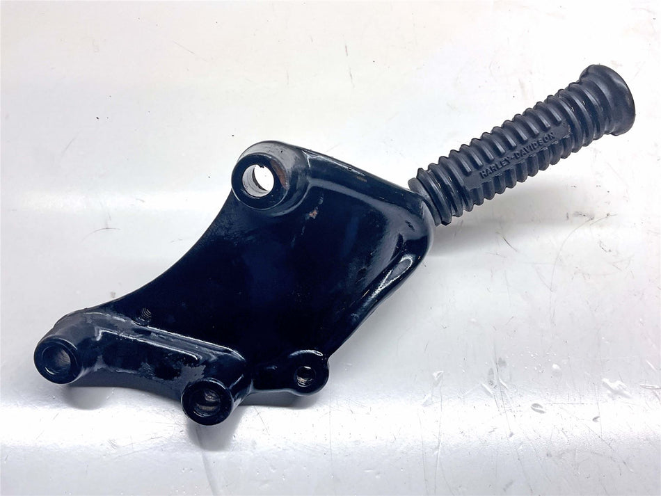 2017 Harley-Davidson Sportster 1200 Anniversary Rear Right Footrest - 50500233